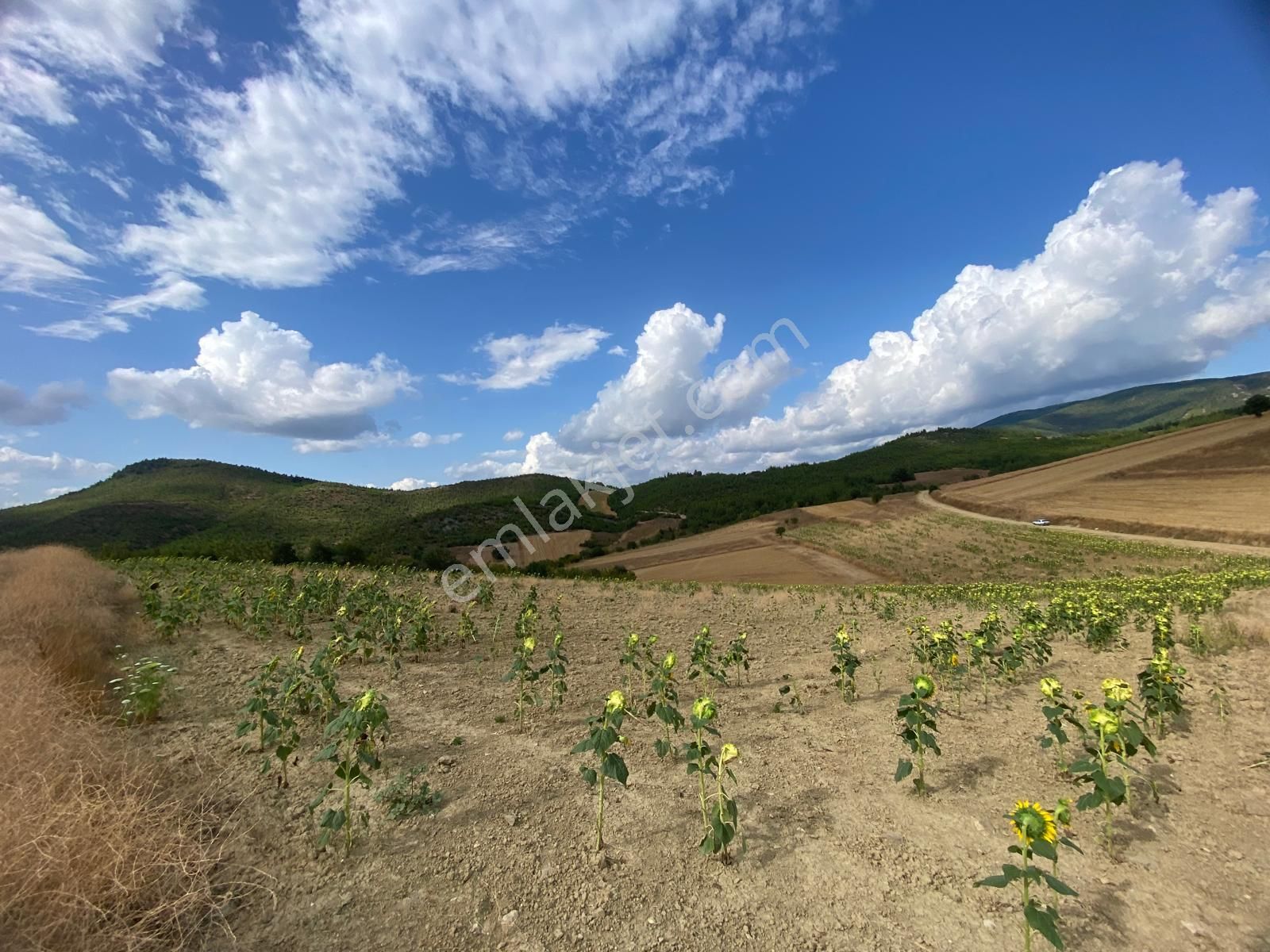 Osmaneli Medetli Köyü Satılık Tarla 15.876 M2 Resmi Yolu Olan Satılık Arazi