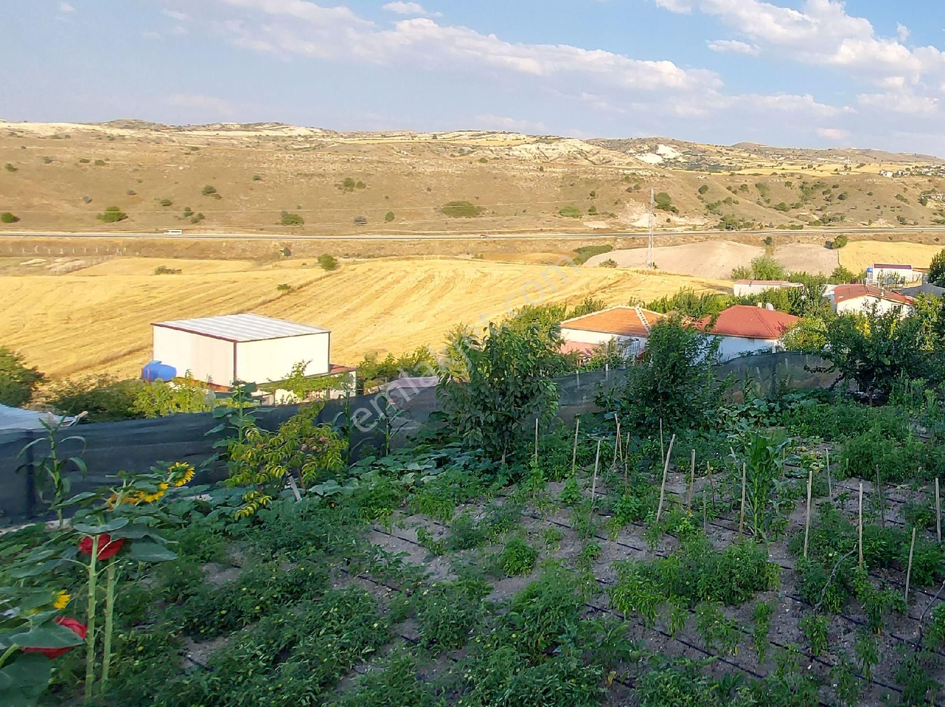 Ayaş Başbereket Satılık Tarla MURAT TÜRKMEN'den AYAŞ Başbereket'te TAPULU Manzaralı ETRAFI ÇEVRİLİ KULLANIMA HAZIR 760_M2 BAHÇE 