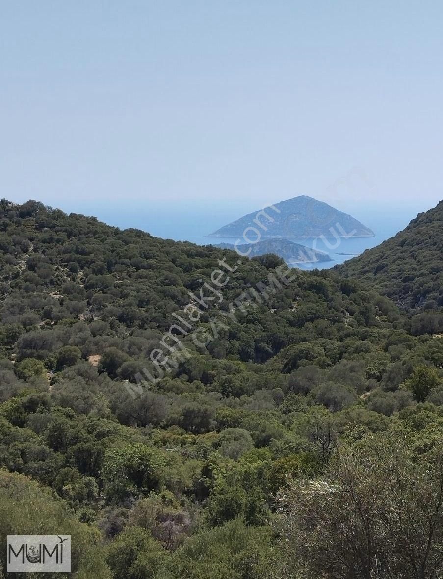 Kaş Belenli Satılık Tarla mumi gayrimenkul den satılık