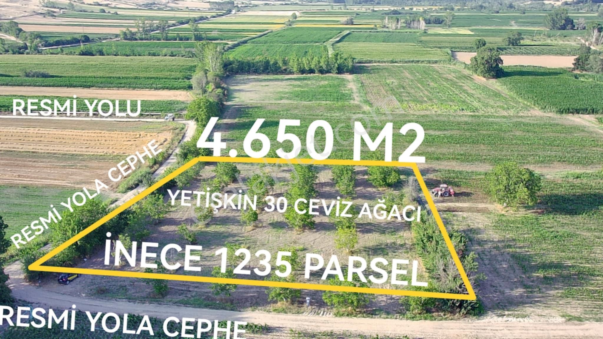 Kırklareli Merkez İnece Bld. (Kemalpaşa) Satılık Tarla Kırklareli İnece Koyunbaba Asfaltına Bir Parsel Mesafede Meyva Bahçesi 4650 M2