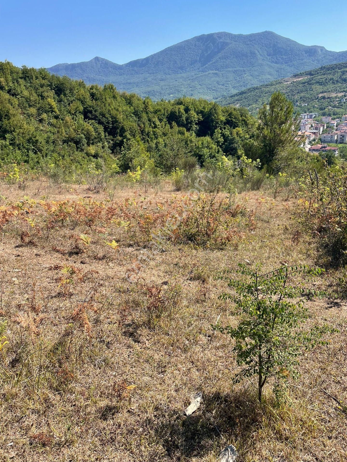 Cide Cumhuriyet Satılık Konut İmarlı  CİDE DEMİRTAŞ EMLAK GÜVENCESİ İLE CUMHURİYET MAHALLESİNDE SATILIK ARSA