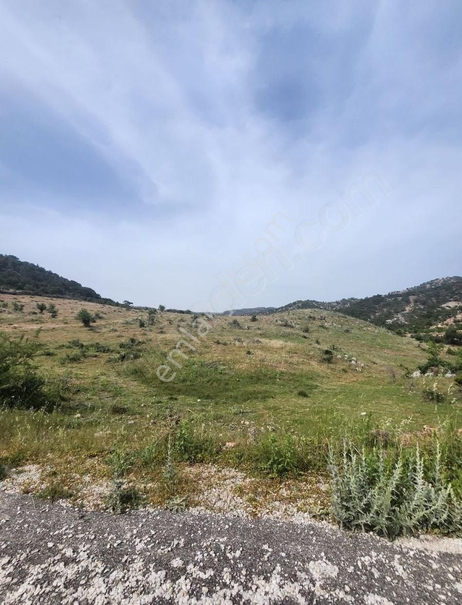 Ayvacık Taşboğaz Köyü Satılık Turizm İmarlı EM-SA GAYRİMENKULDEN EKO TURİZME UYGUN ASFALTA CEPHE 41 DÖNÜM