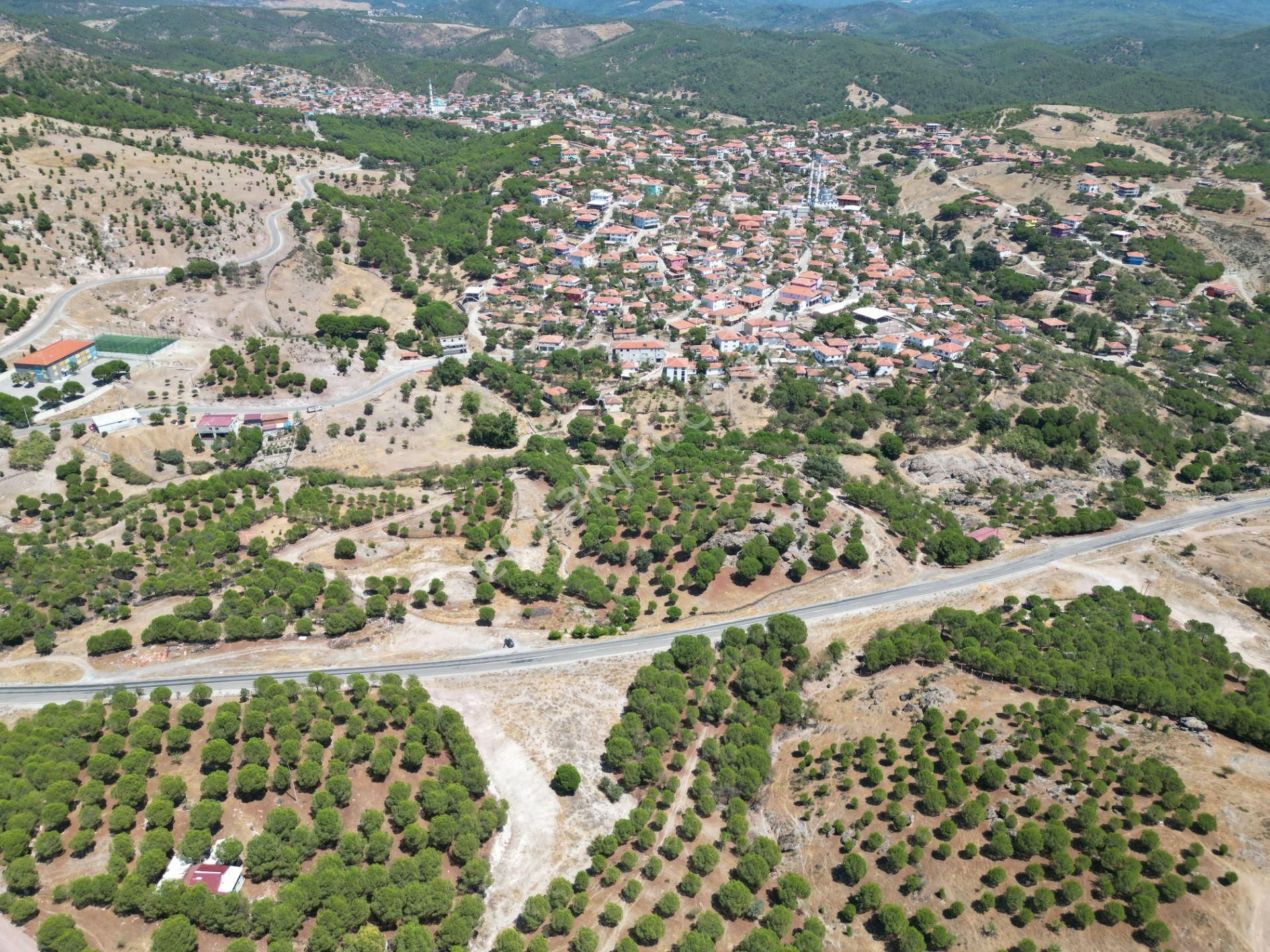 Ayvalık Akçapınar Satılık Bağ & Bahçe  Ayvalık Akçapınar'da Satılık, Ana Asfalt Üzerinde Arazi