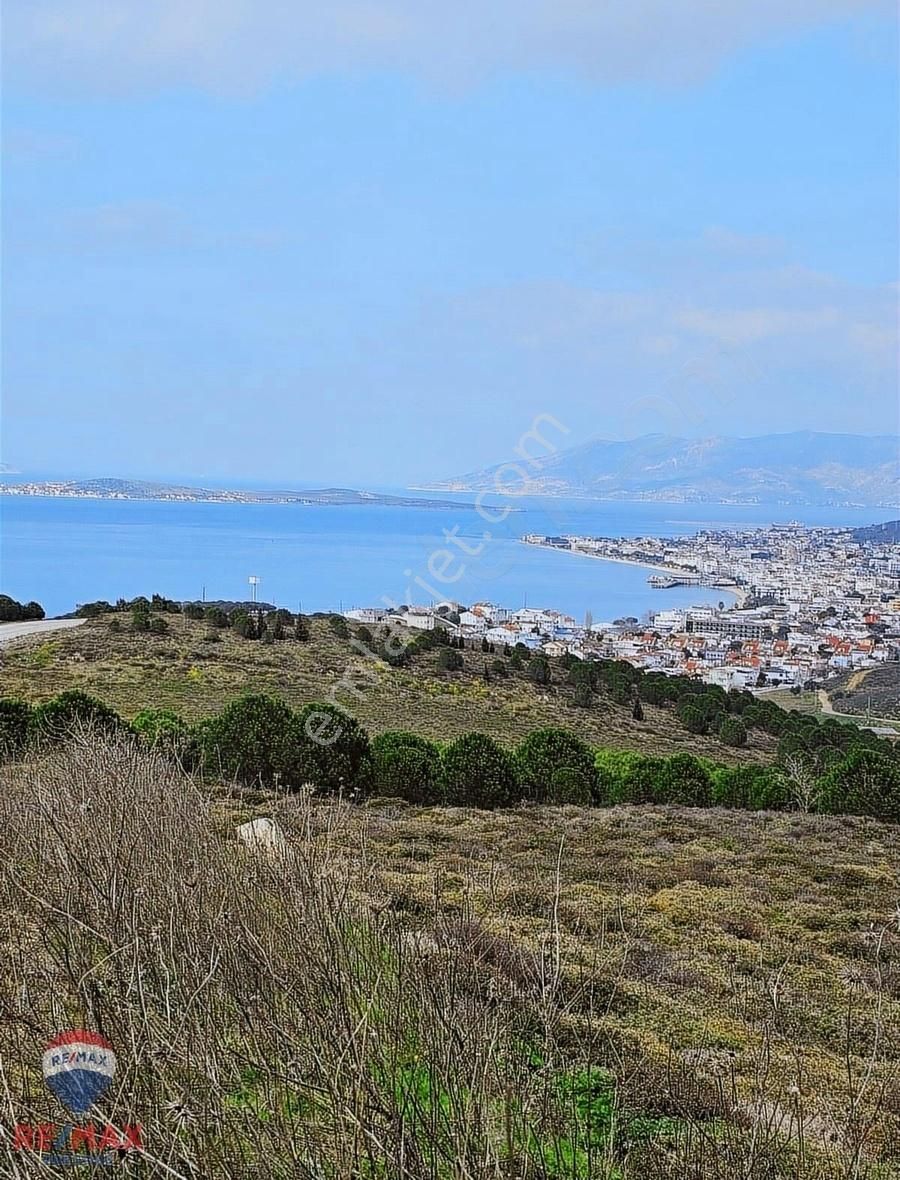 Marmara Avşa Satılık Tarla Avşa'da Deniz Manzaralı Yatırım Fırsatı