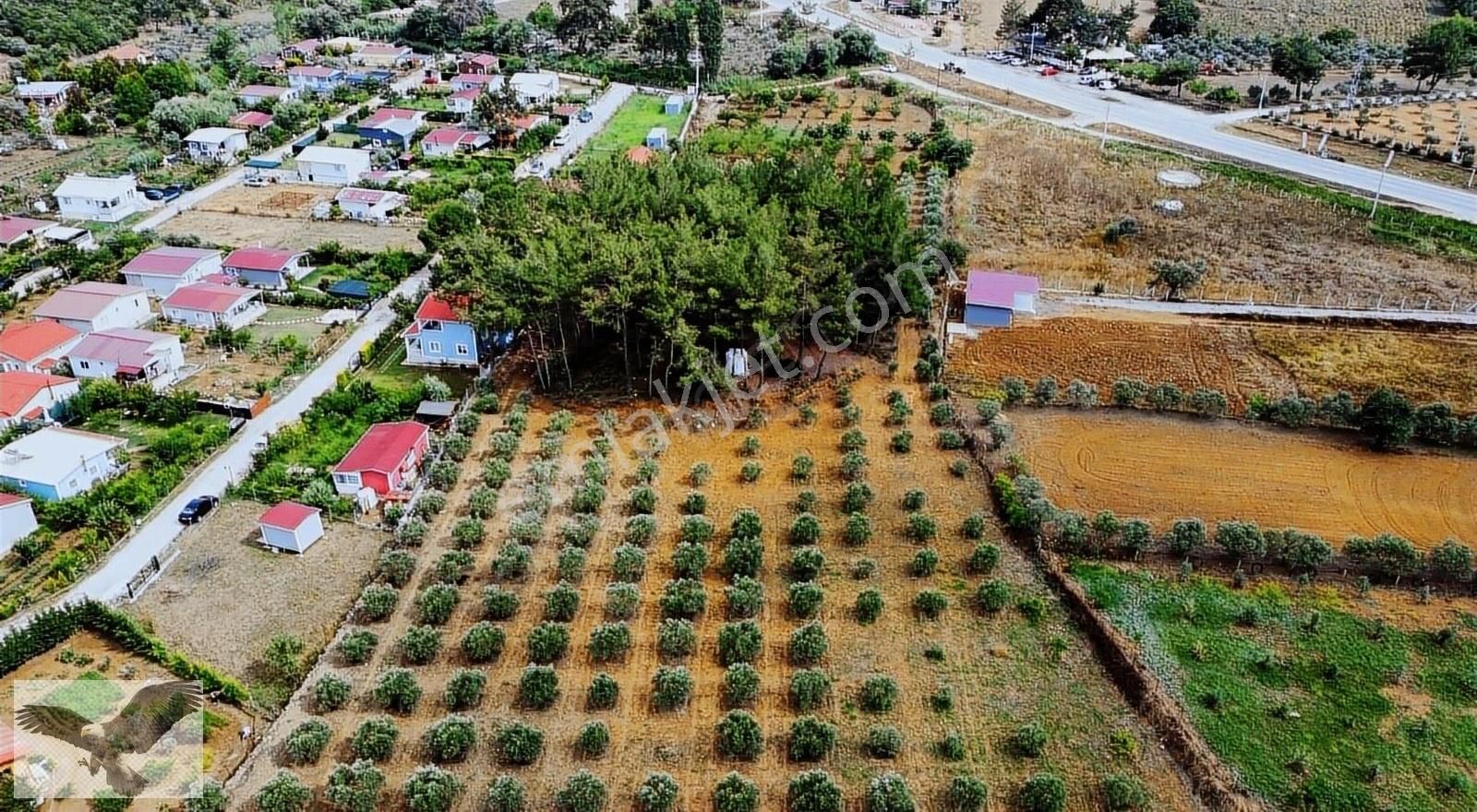 Menderes Ataköy Satılık Tarla MENDERES ATAKÖYDE 236 M2 KUŞADASI YOLU ÜZERİNDE TAPULU BAHÇELER