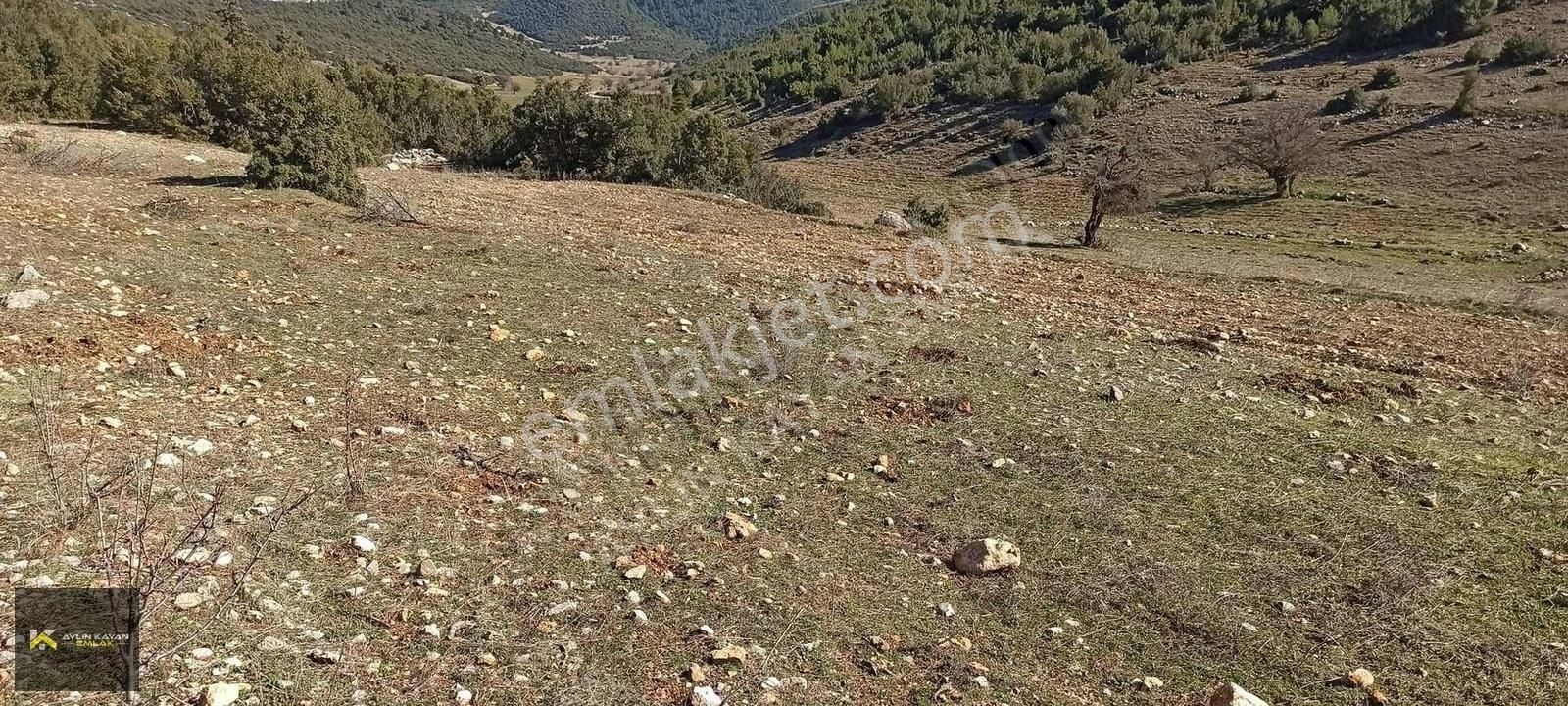 Bucak Taşyayla Köyü (Afetler) Satılık Tarla BURDUR BUCAK TAŞYAYLA'DA 4 DÖNÜM TEK TAPU YATIRIM FIRSATI