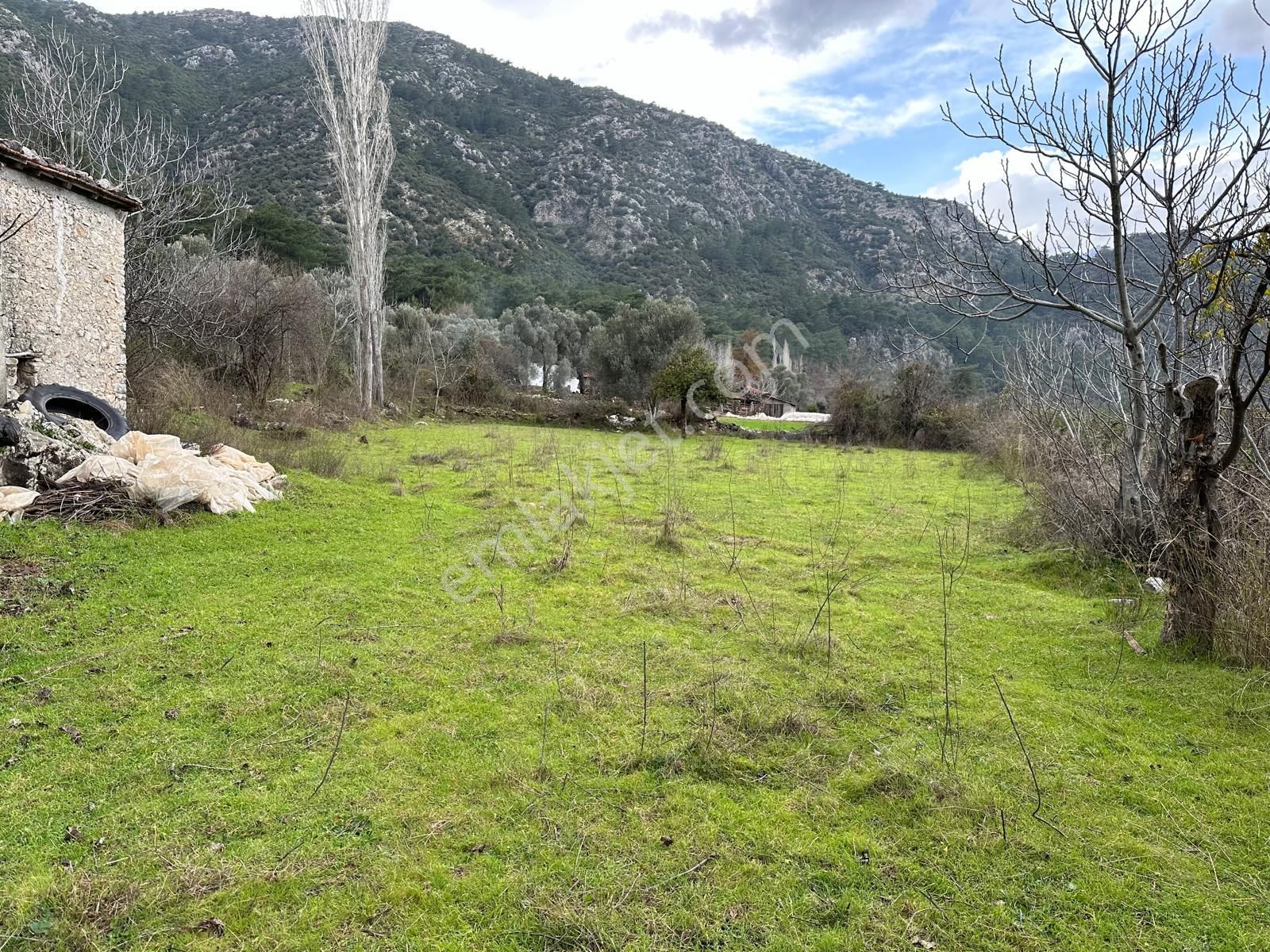 Seydikemer Çayan Satılık Tarla S.KEMER ÇAYAN MAH. DE İLKON'DAN SATILIK TARLA