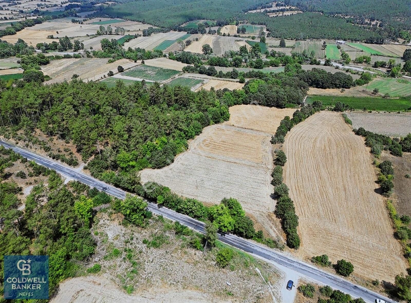 Yenice Seyvan Köyü Satılık Tarla Çanakkale Yenice Seyvan'da Anayol Cepheli Satılık 15581 M² Tarla