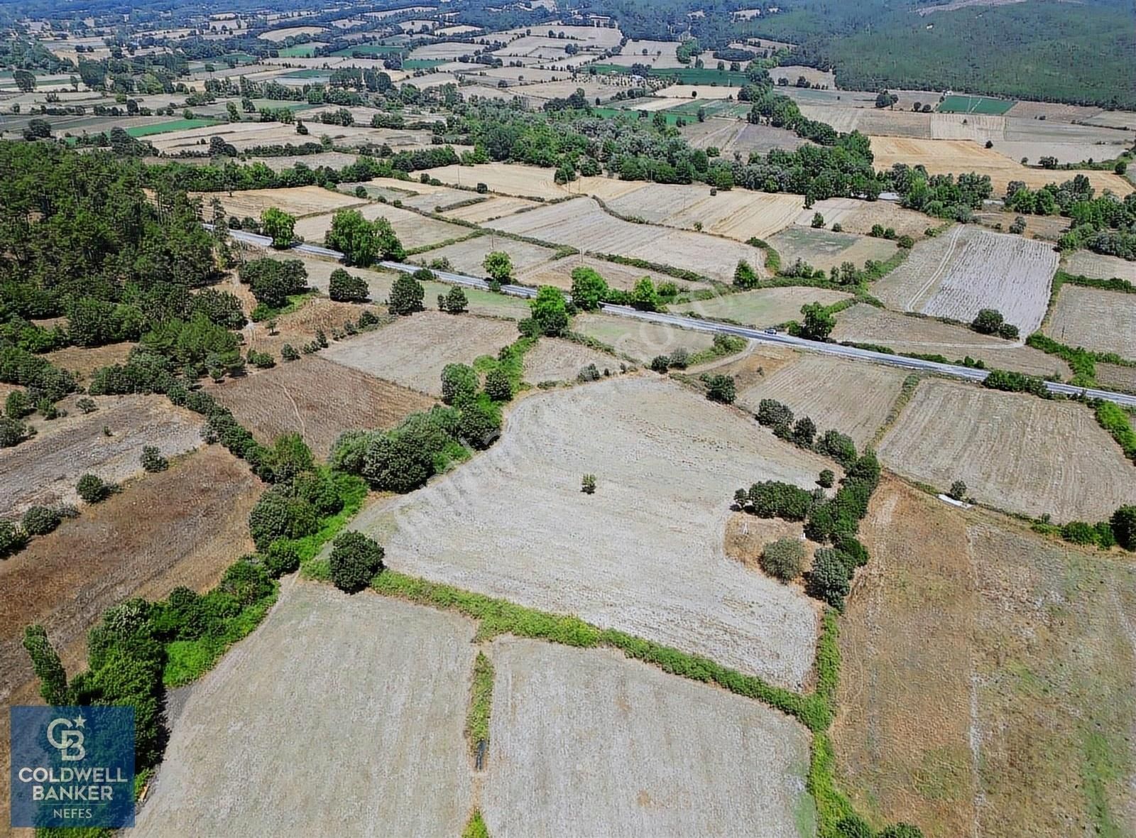 Yenice Seyvan Köyü Satılık Tarla Çanakkale Yenice Seyvan'da Anayol'a Yakın Satılık 12.213M² Tarla