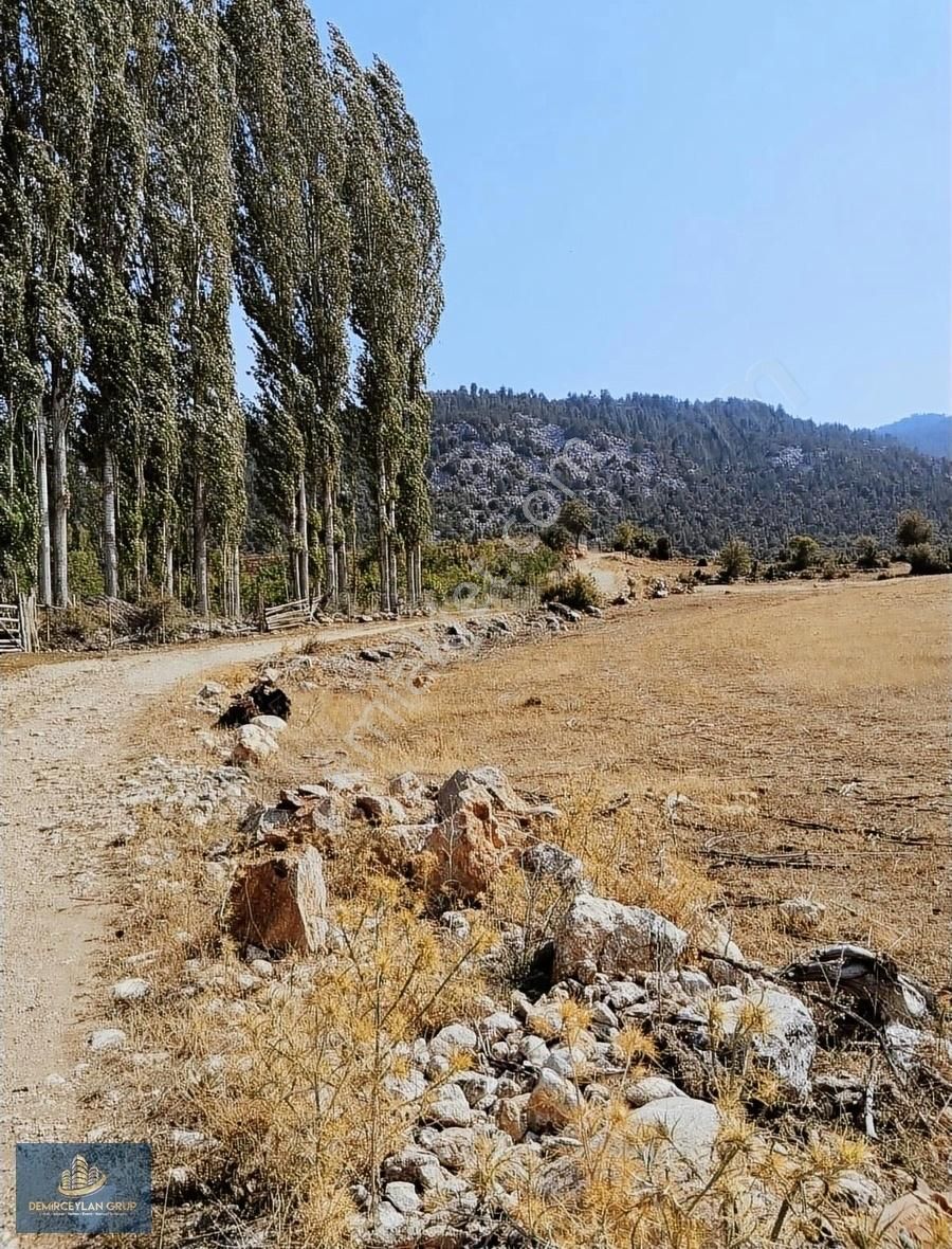 Seydikemer Ceylan Satılık Tarla MUĞLA SEYDİKEMER YAYLA CEYLAN YATIRIMLIK KUŞBAKIŞI ARAZİ