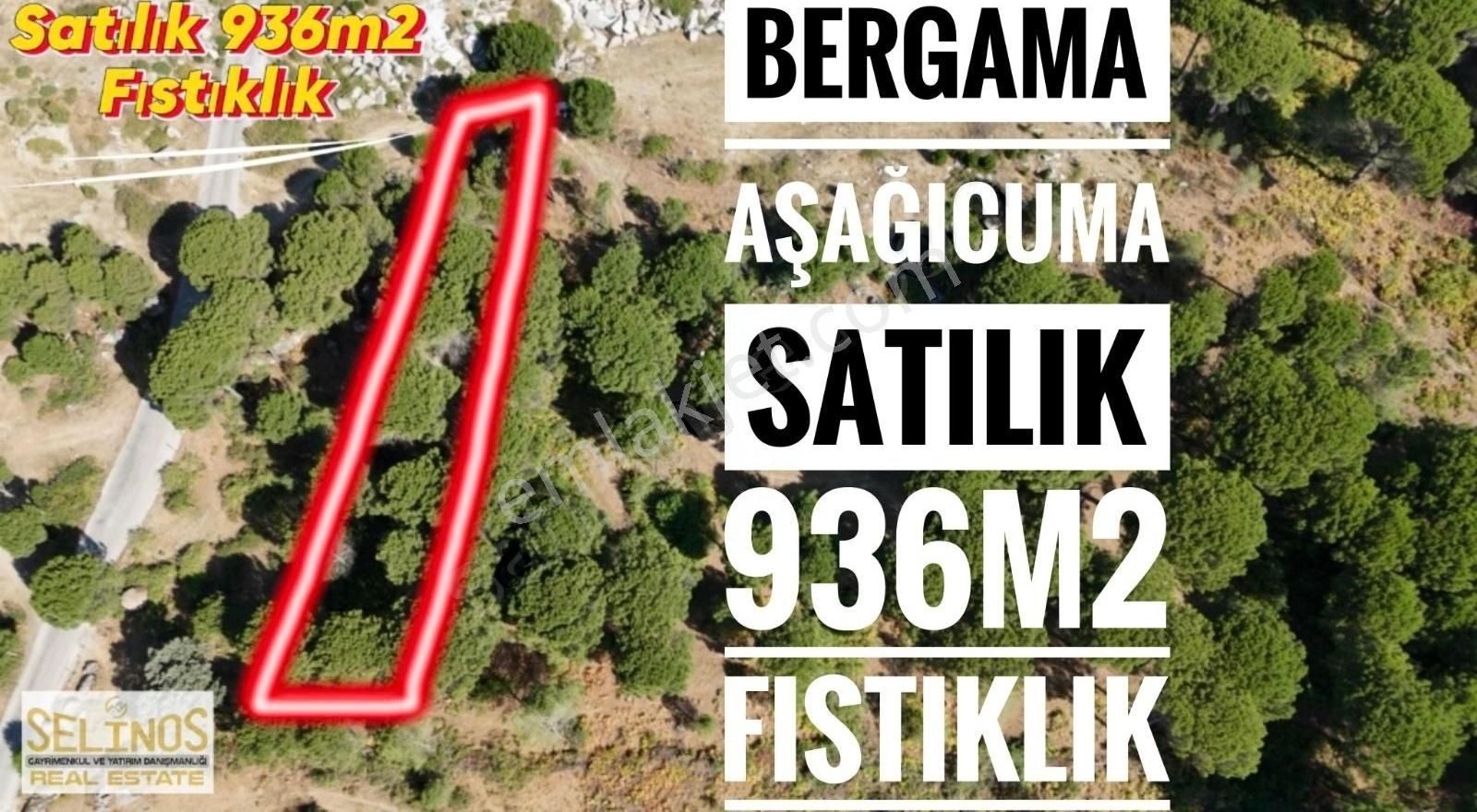 Bergama Aşağıcuma Satılık Tarla KOZAK AŞAĞICUMA KÖYÜNDE SATILIK FISTIKLIK