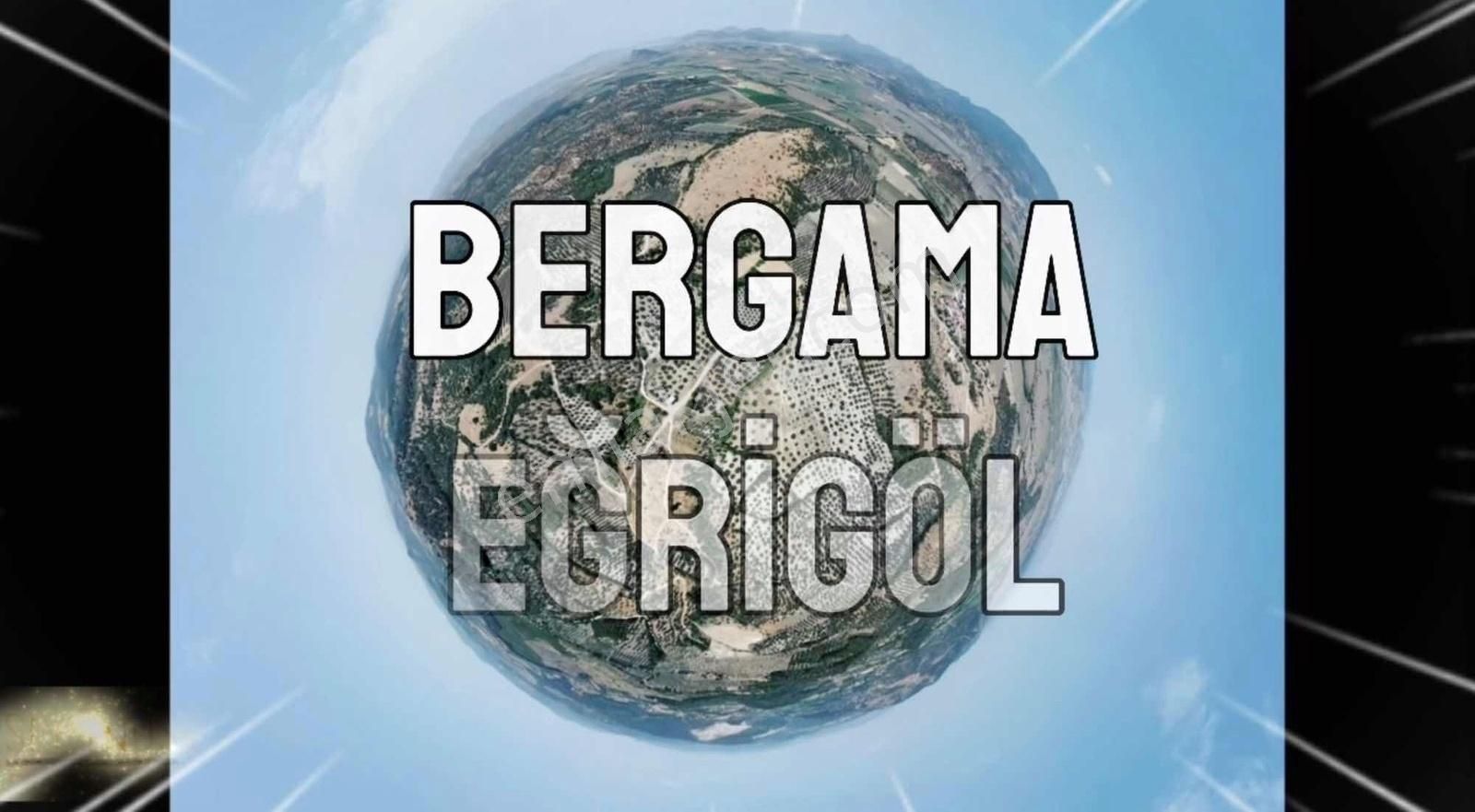 Bergama Eğrigöl Satılık Zeytinlik SELİNOS GAYRİMENKUL'DEN SATILIK ZEYTİNLİK