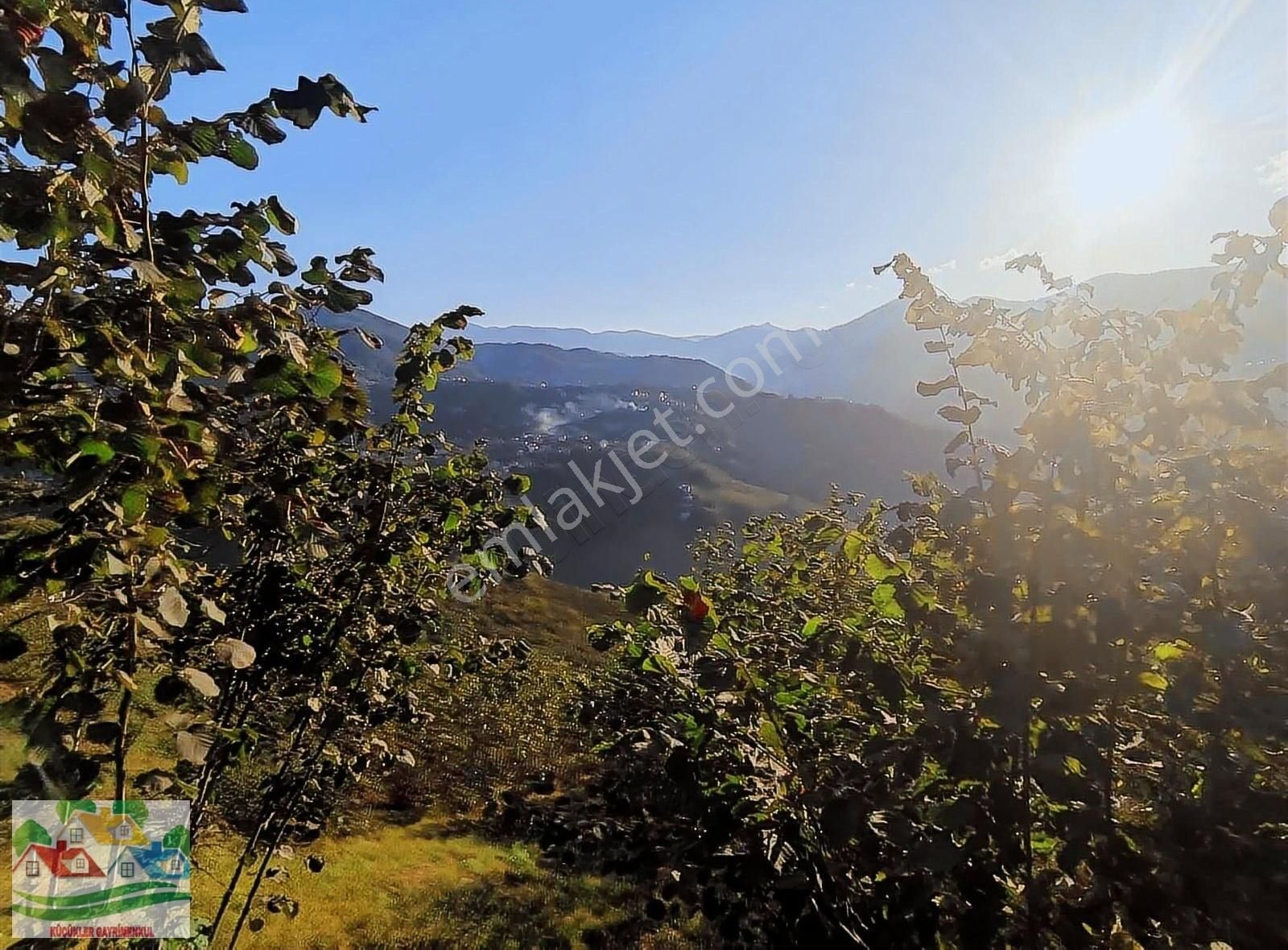 Akçaköyde Satılık Fındık Bahçesi - Görsel 5