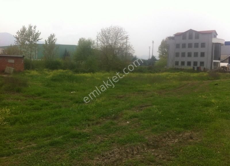 Kocaeli Kartepe De Kuloğlu Eml&inştan Satılık Sanayi Arsası - Görsel 4