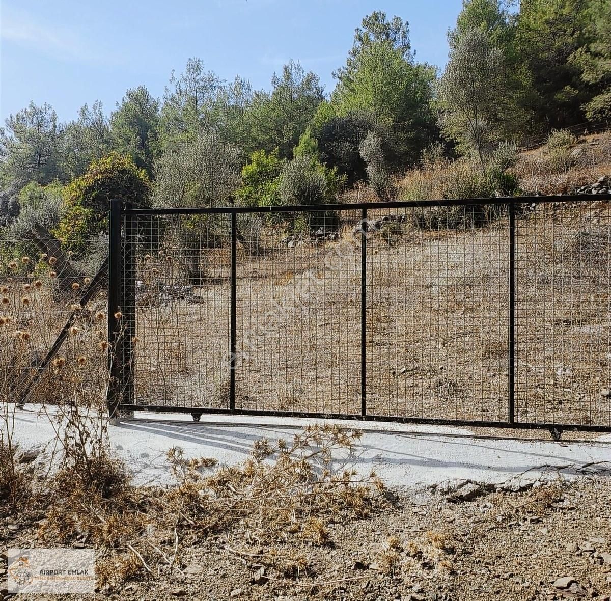 Ortaca Dalyan Satılık Zeytinlik Dalyan Gökbel de Tek tapulu Yol kenarı iztuzu ve kargıcak koyu