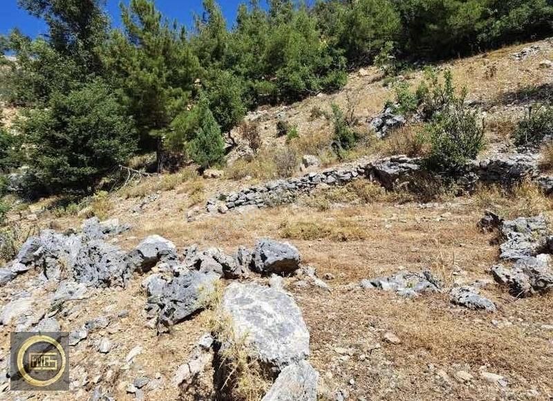 Alanya Bayırkozağacı Satılık Tarla YOLA SIFIR KONUM'DA YAZLIK TARLA