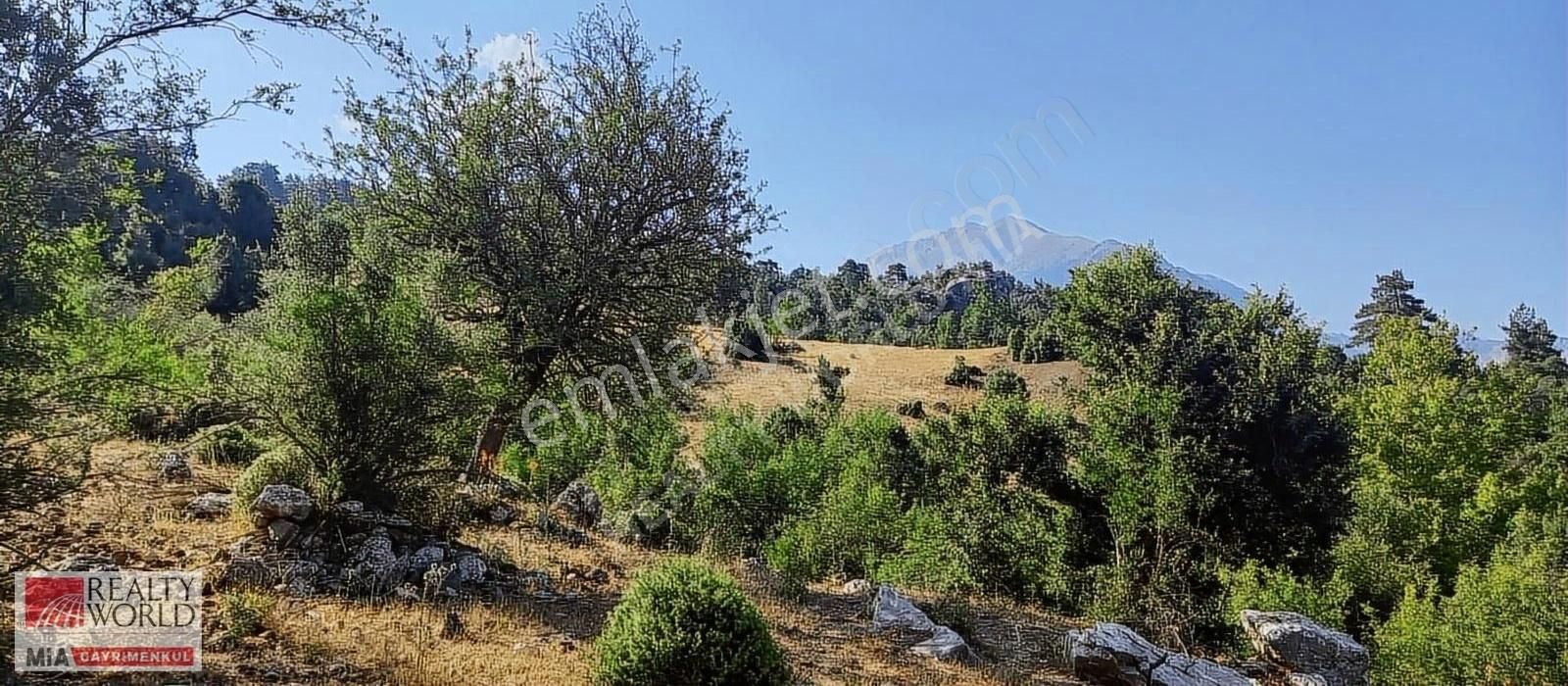 Konyaaltı Üçoluk Satılık Tarla ANTALYA KONYAALTI ÜÇOLUK SATILIK TARLA