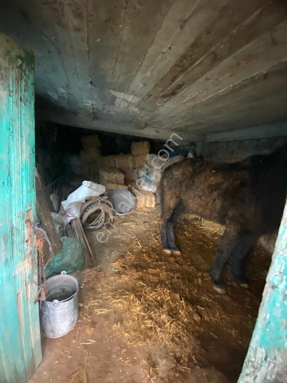 Bergama Katrancı Satılık Daire Satılık  müstakil  köy evi  