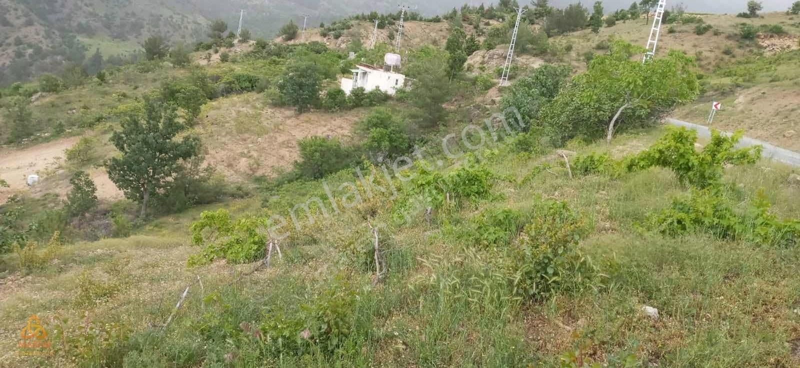 Dulkadiroğlu Budaklı Satılık Bağ & Bahçe Marem Den Bertiz Budaklı Da Tek Tapu Bağ