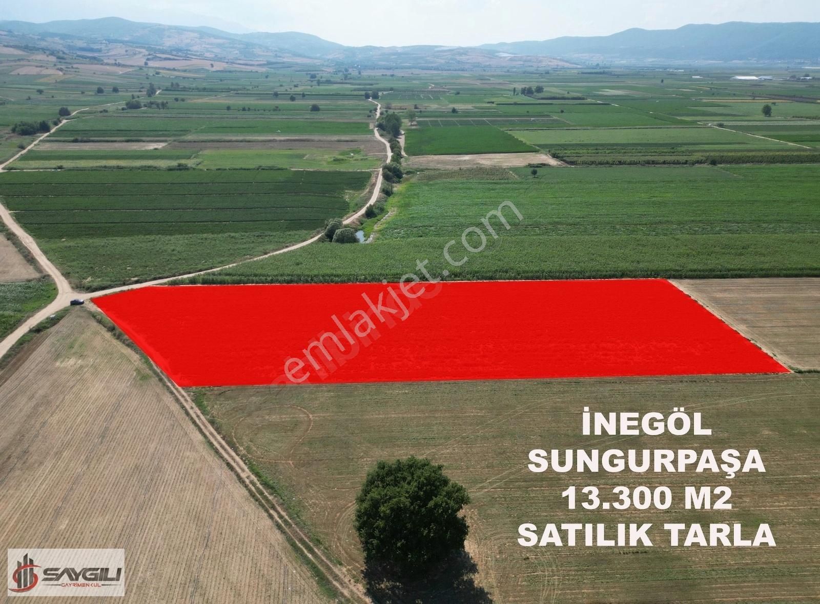 İnegöl Sungurpaşa Satılık Tarla İNEGÖL SUNGURPAŞADA HARİKA KONUMDA 13.300 M2 TARLA