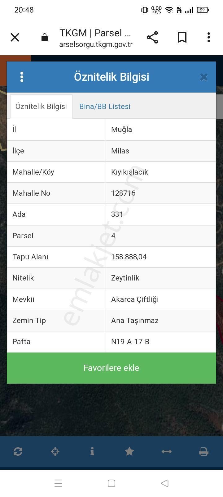 Milas Kıyıkışlacık Satılık Zeytinlik  MUĞLA / MİLAS / KIYIKIŞLACIK / ZEYTİNLİK