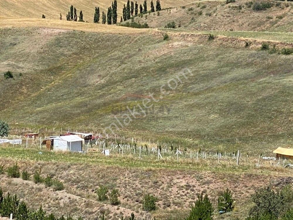 Çorum Merkez Serpin Köyü Satılık Bağ & Bahçe Güvenay - Çorum Serpin Köyü İlerisi Satılık Hobi Bahçesi