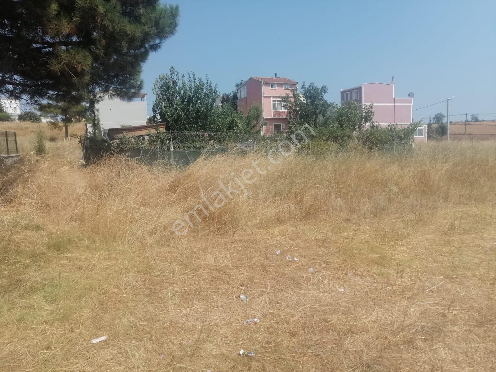 Süleymanpaşa Karaevli Satılık Konut İmarlı Tekirdağ karaevli mah satılık arsa