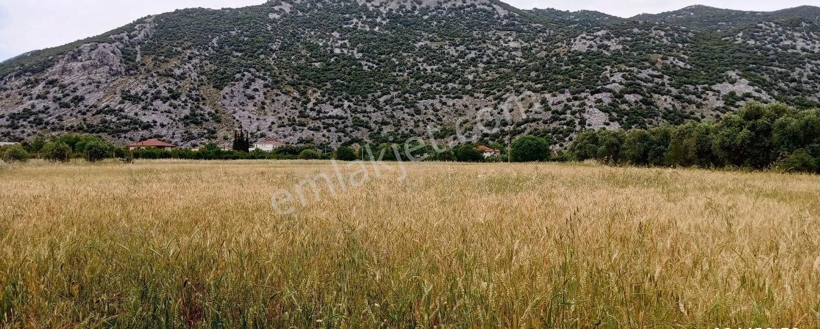 Döşemealtı Kovanlık Satılık Tarla Antalya Döşemealtı Kovanlık 1.630 m.kare (hisseli 8.160 m.kare) tarla