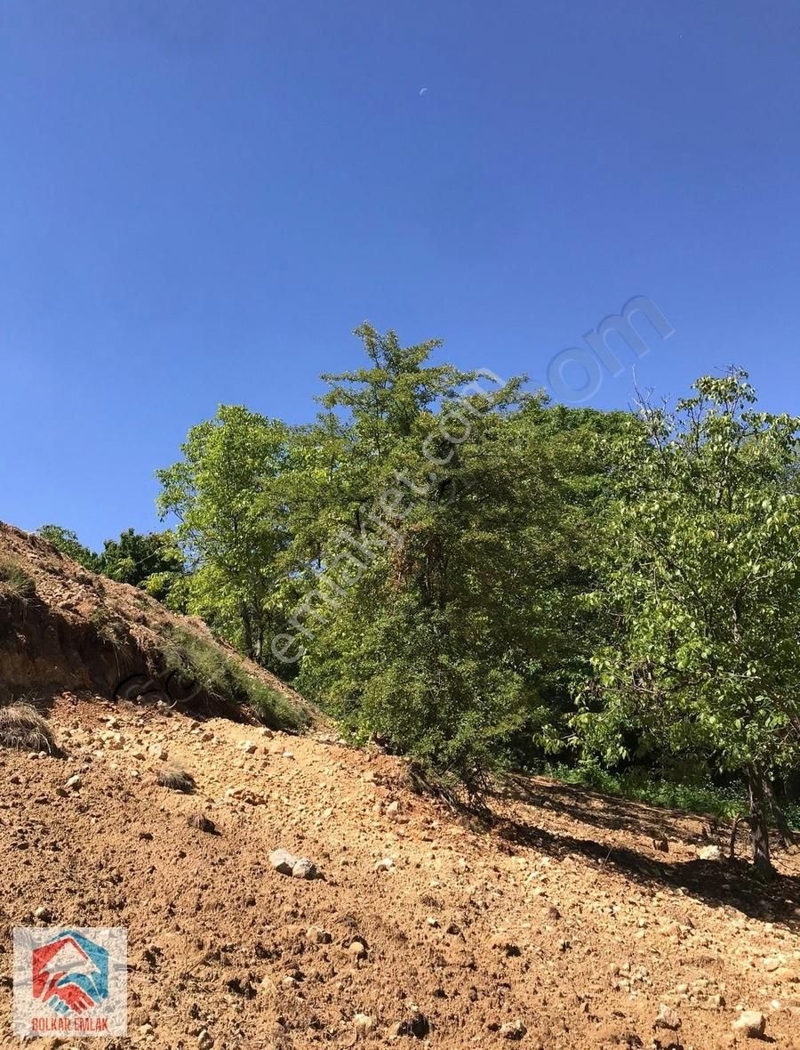 Arslanköyde Muhteşem Manzaralı Satılık 2.100 M² Arazi - Görsel 9