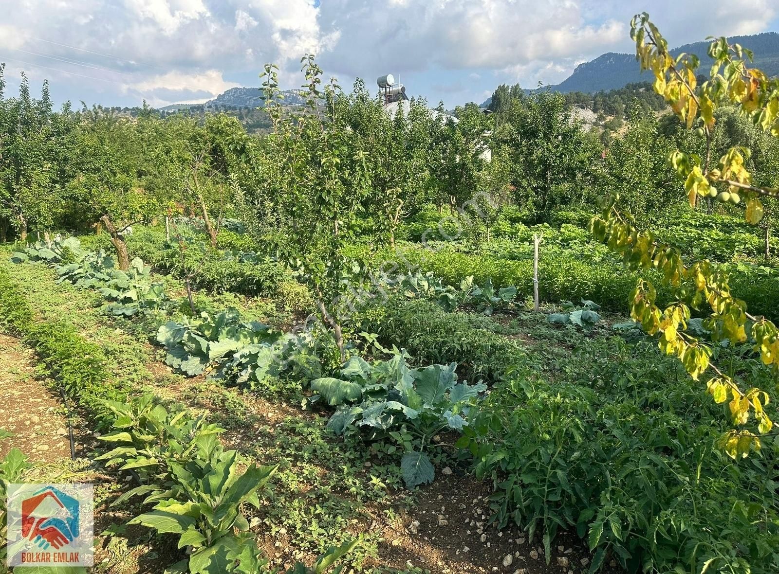 Arslanköy'de Muhteşem Konumda Satılık 947 M² Arsa - Görsel 6