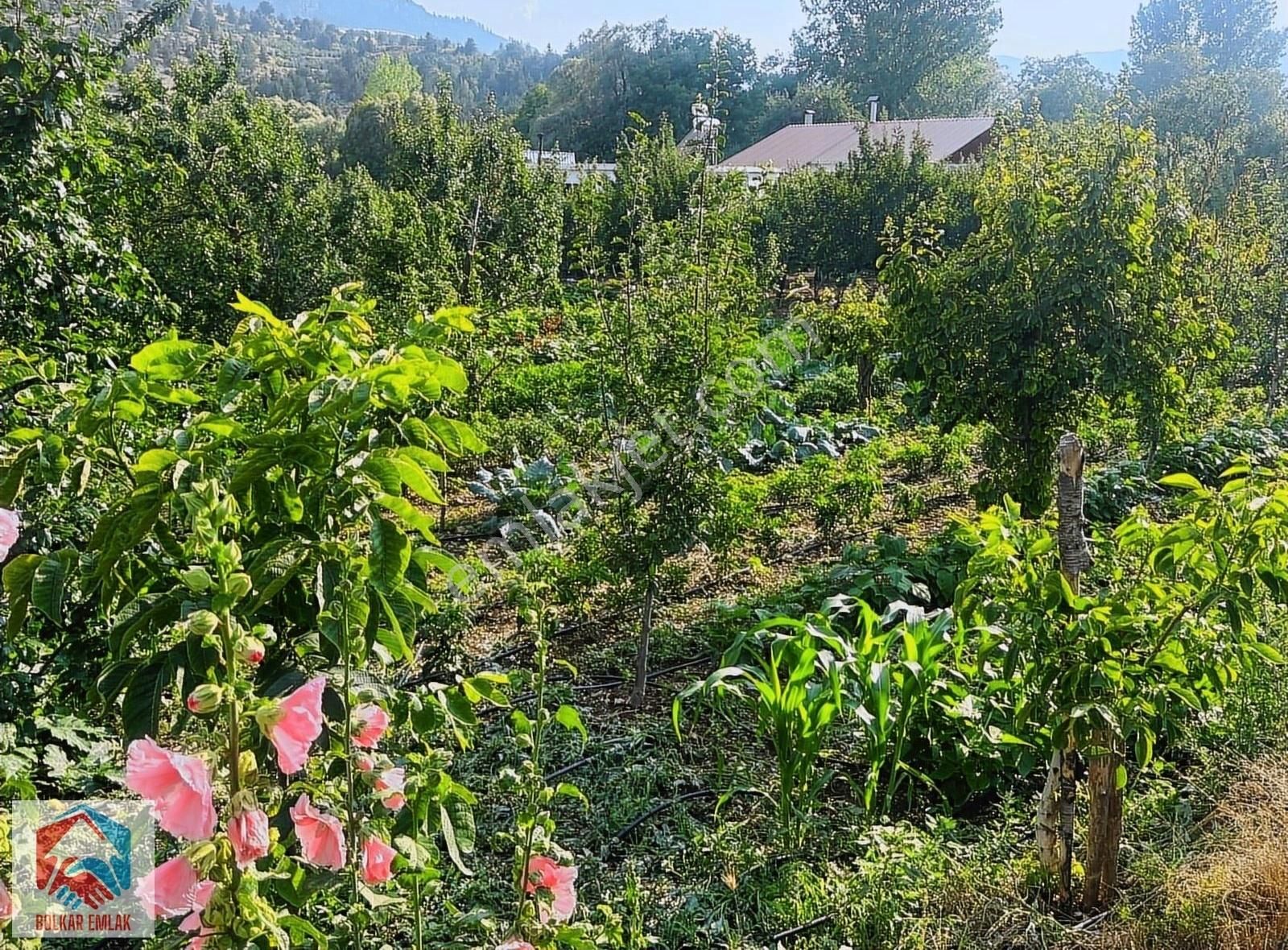 Arslanköy'de Muhteşem Konumda Satılık 947 M² Arsa - Görsel 2