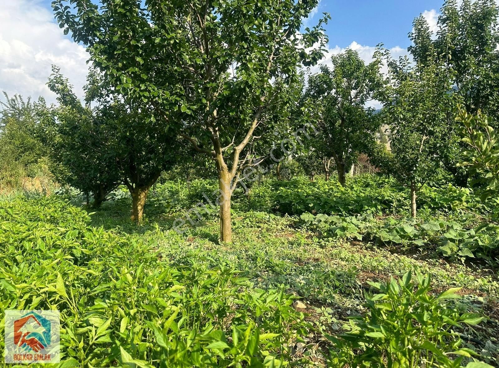 Arslanköy'de Muhteşem Konumda Satılık 947 M² Arsa - Görsel 8