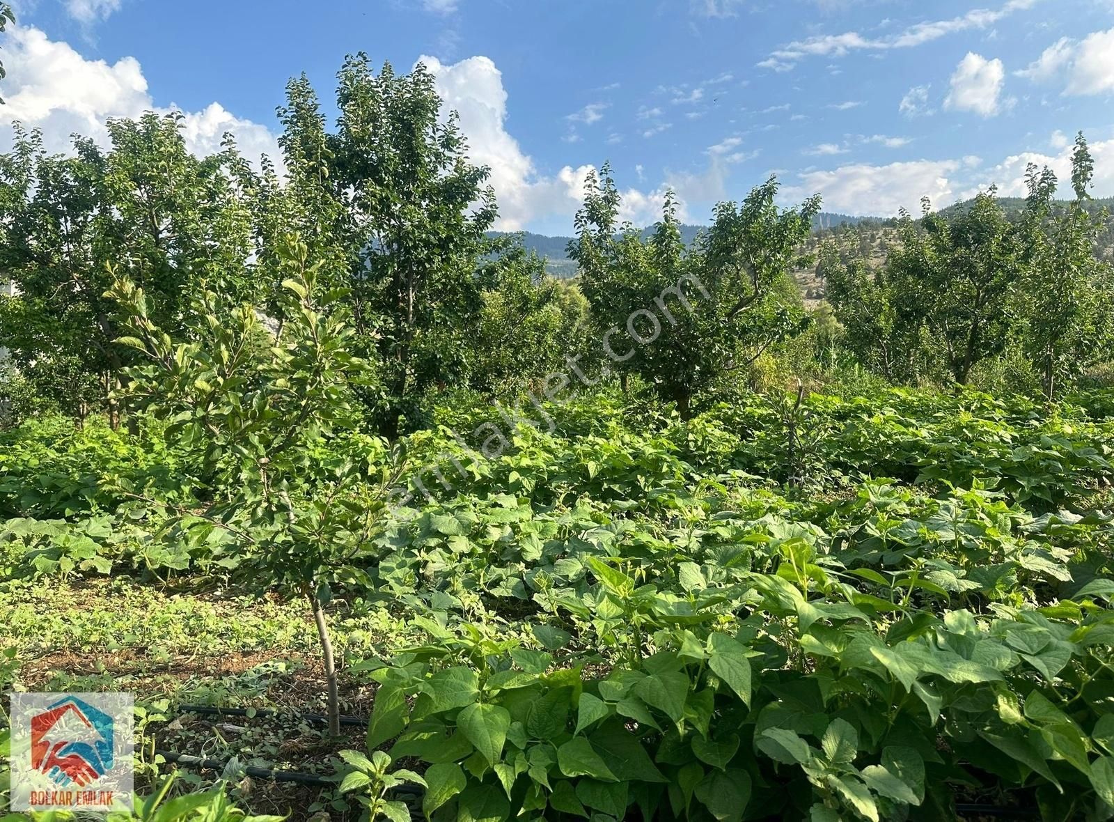 Arslanköy'de Muhteşem Konumda Satılık 947 M² Arsa - Görsel 9