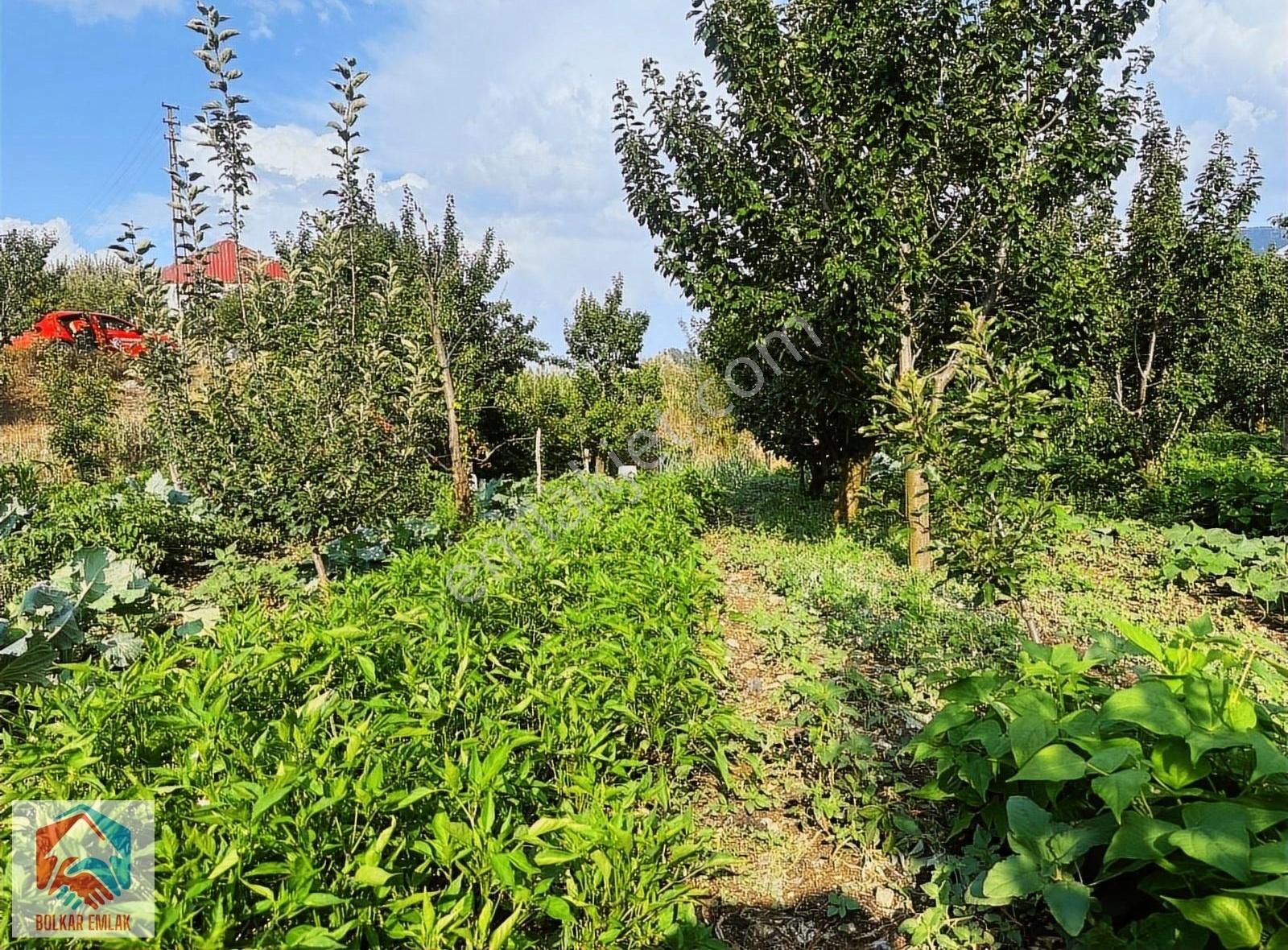 Arslanköy'de Muhteşem Konumda Satılık 947 M² Arsa - Görsel 3