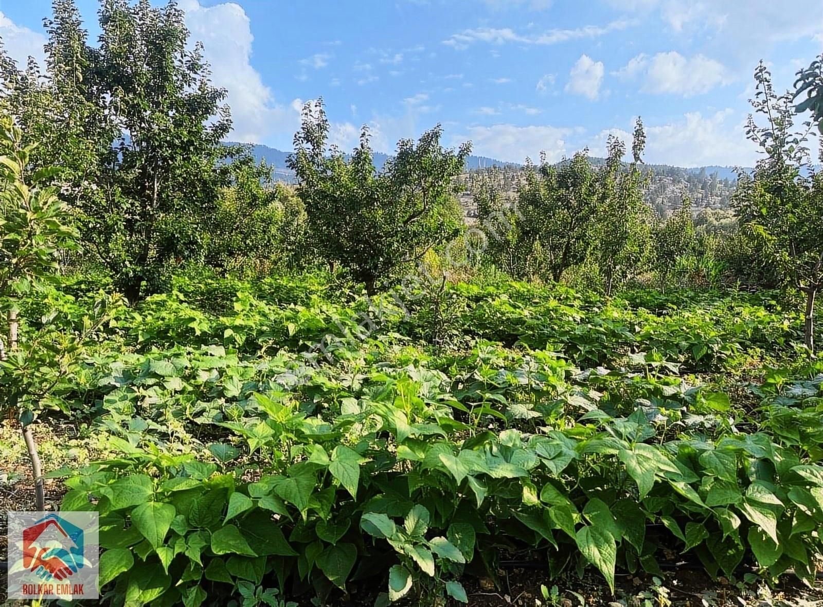 Arslanköy'de Muhteşem Konumda Satılık 947 M² Arsa - Görsel 4