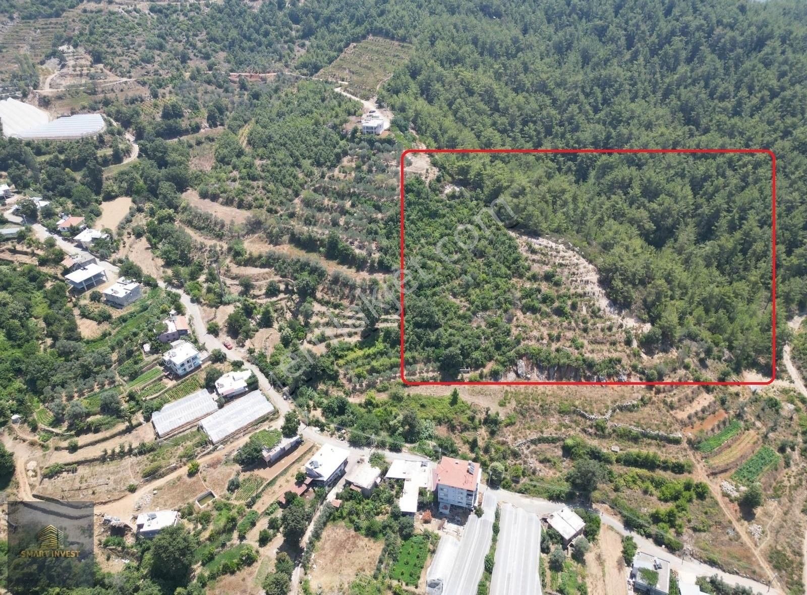 Alanya Kayabaşı Satılık Tarla ALANYA KAYABAŞINDA SATILIK 5.966 m2 TARLA