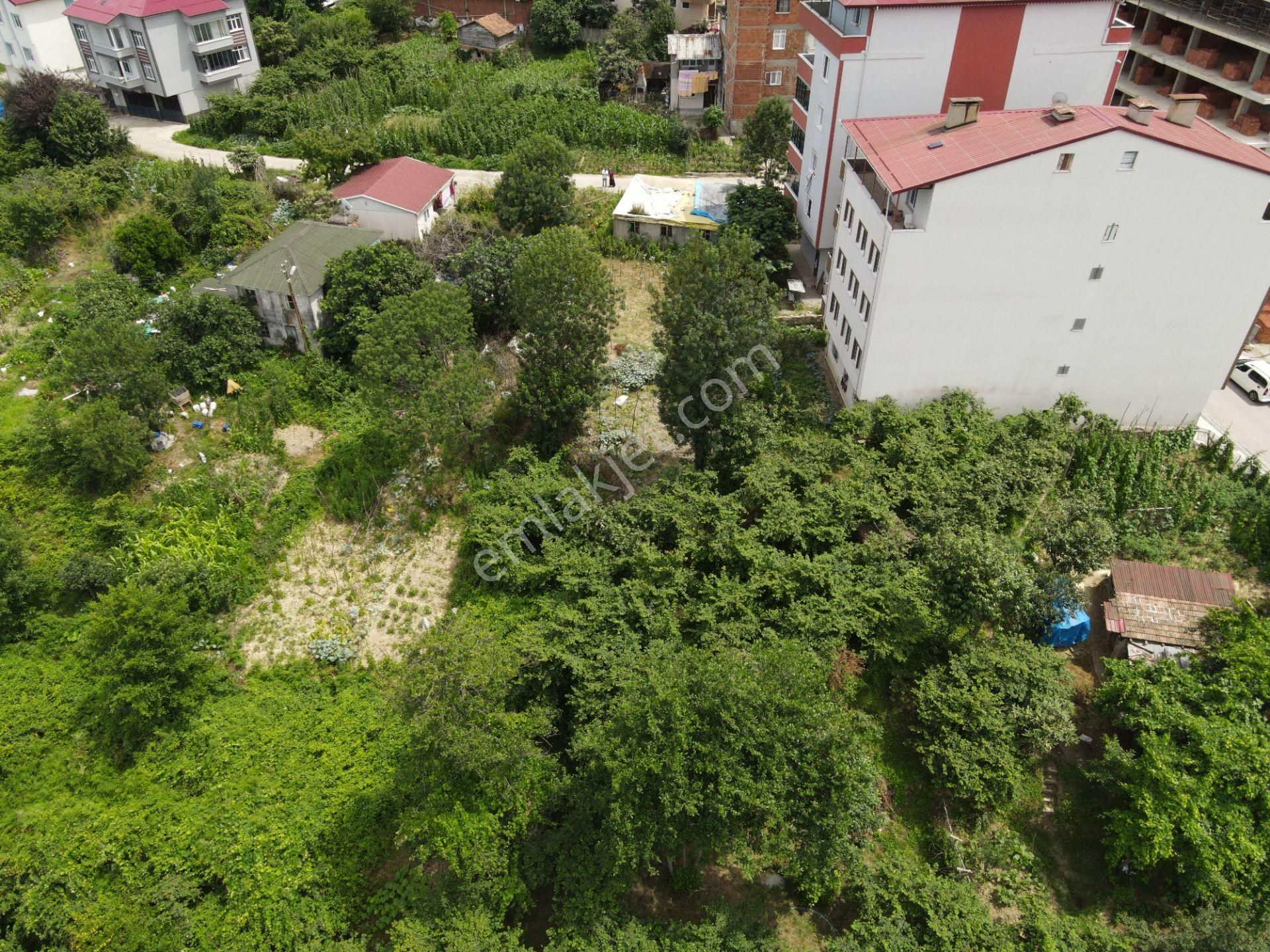 Arsin Yalı Satılık Konut İmarlı RW TAKA GAYRİMENKUL'DEN ARSİN YALI MAHALLESİ'NDE İMARLI ARSA