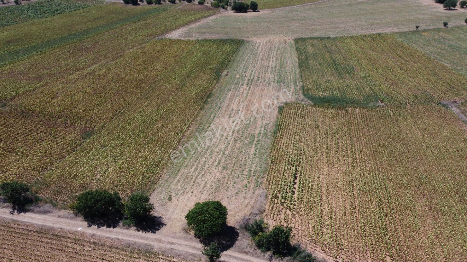 Osmaneli Medetli Köyü Satılık Tarla  MEDETLİ'DE 5.167 M2 RESMİ YOLU OLAN,BAĞ EVİ YAPIMINA UYGUN TARLA