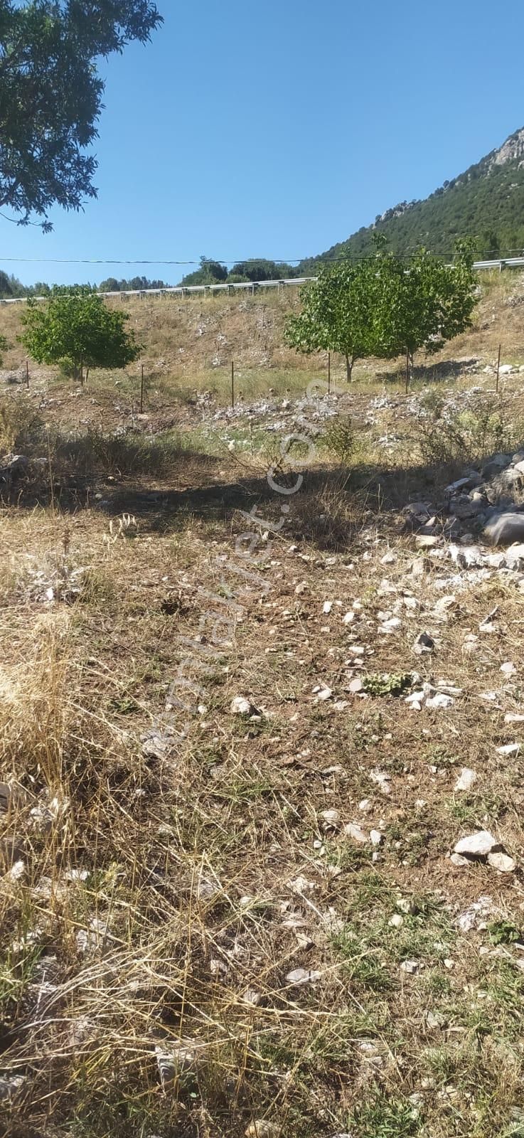 Asya Evim Gayrimenkulden Ağlasun Dereköy De Satılık Arazi - Görsel 9