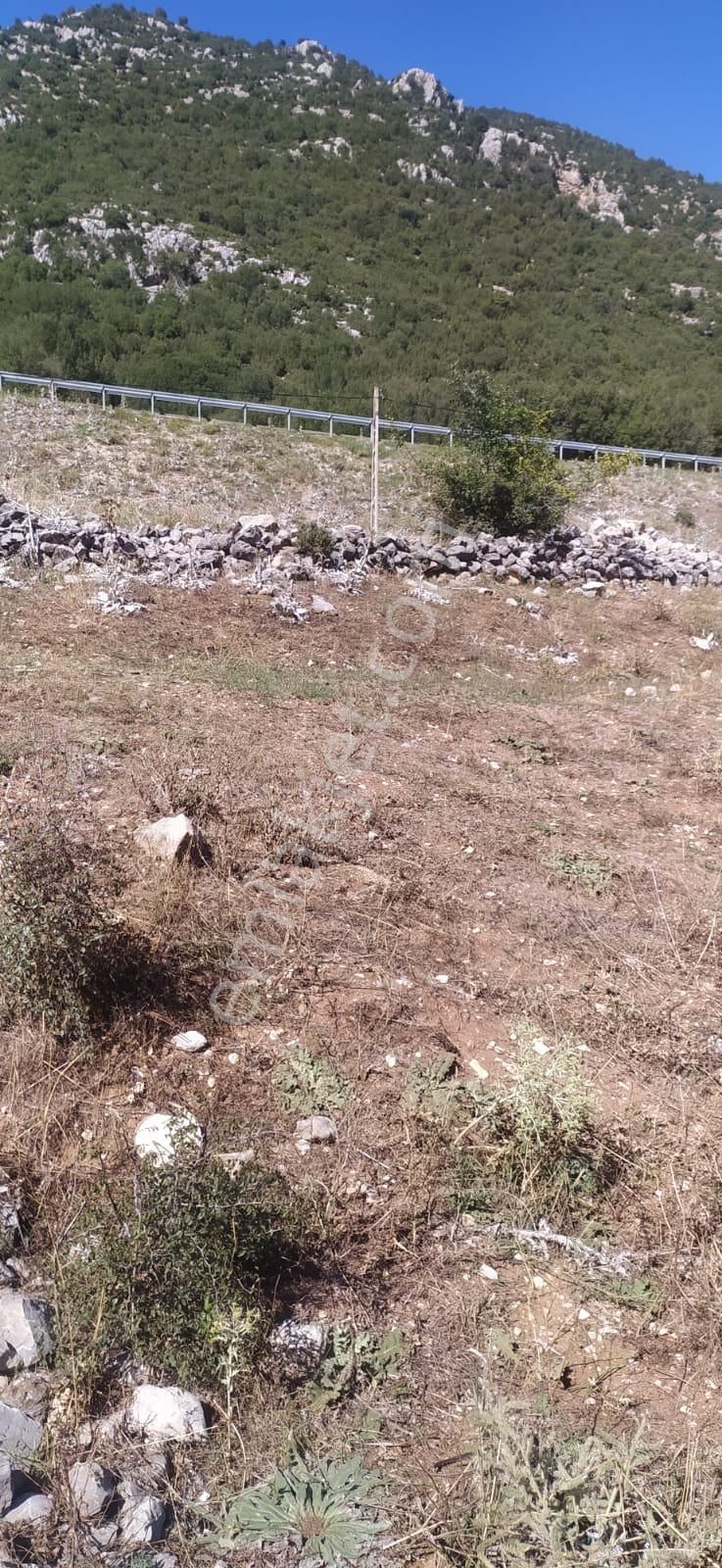 Asya Evim Gayrimenkulden Ağlasun Dereköy De Satılık Arazi - Görsel 24