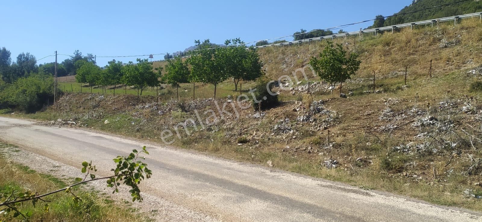 Asya Evim Gayrimenkulden Ağlasun Dereköy De Satılık Arazi - Görsel 2