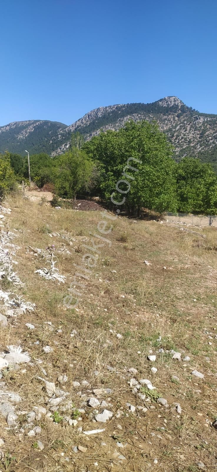Asya Evim Gayrimenkulden Ağlasun Dereköy De Satılık Arazi - Görsel 7