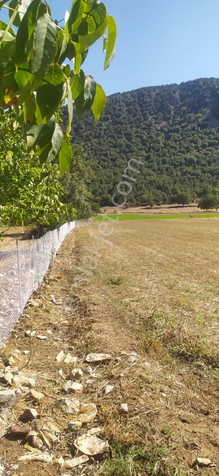 Asya Evim Gayrimenkulden Ağlasun Dereköy De Satılık Arazi - Görsel 8