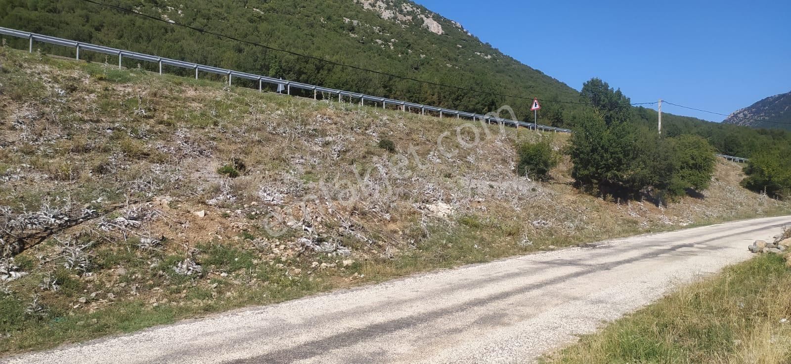 Asya Evim Gayrimenkulden Ağlasun Dereköy De Satılık Arazi - Görsel 20