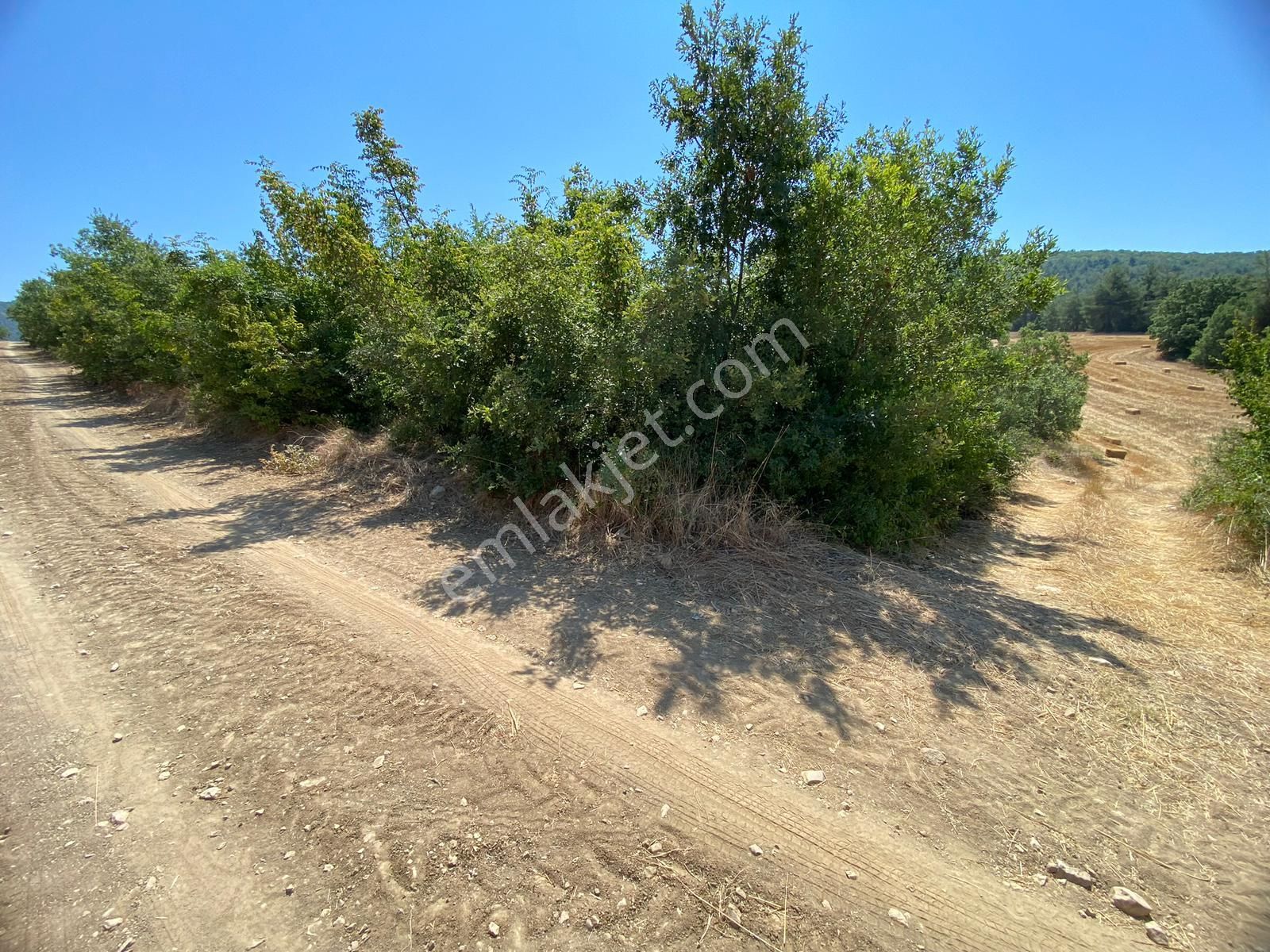 Osmaneli Medetli Köyü Satılık Tarla  MEDETLİ KÖYÜNE 1.5 KM MESAFEDE 5.536 M2 SATILIK YATIRIM ARAZİSİ