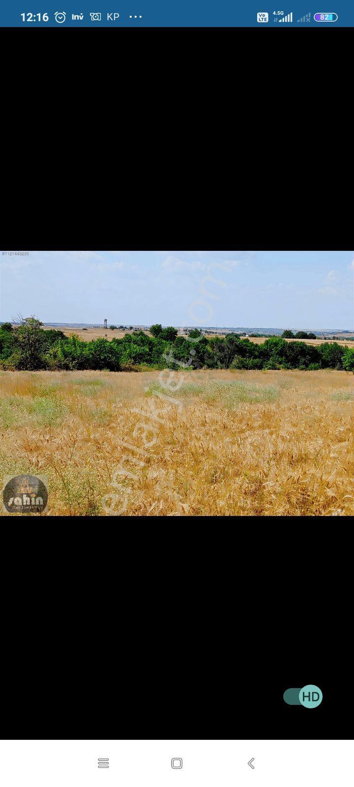 Satılık Tarla - Görsel 5
