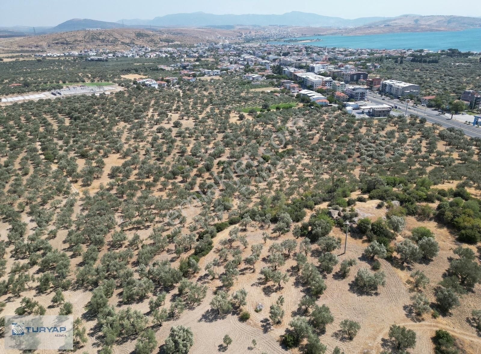 Aliağa Yenişakran Satılık Tarla ŞAKRAN MERKEZE YAKIN KONUMDA SATILIK TARLA