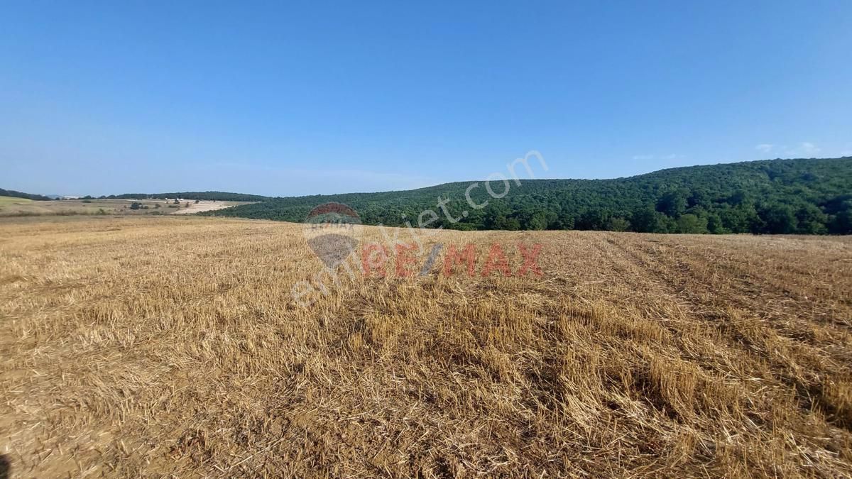 Kocaeli İzmit Güvercinlikte %5 İmarlı 6000 M2 Satılık Arazi