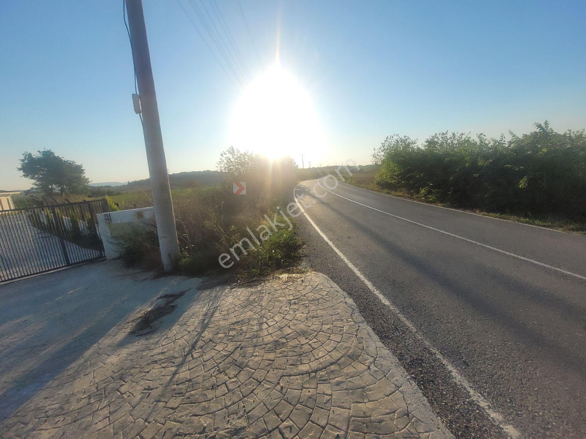 Ana Asfalta Cephe Araman - Görsel 7