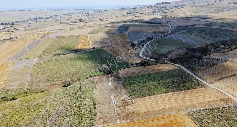 Silivri Çanta Balaban Satılık Tarla Silivri Balabanda 2 Adet Yan Yana 250 Mt2 Yeri Belli Tarla